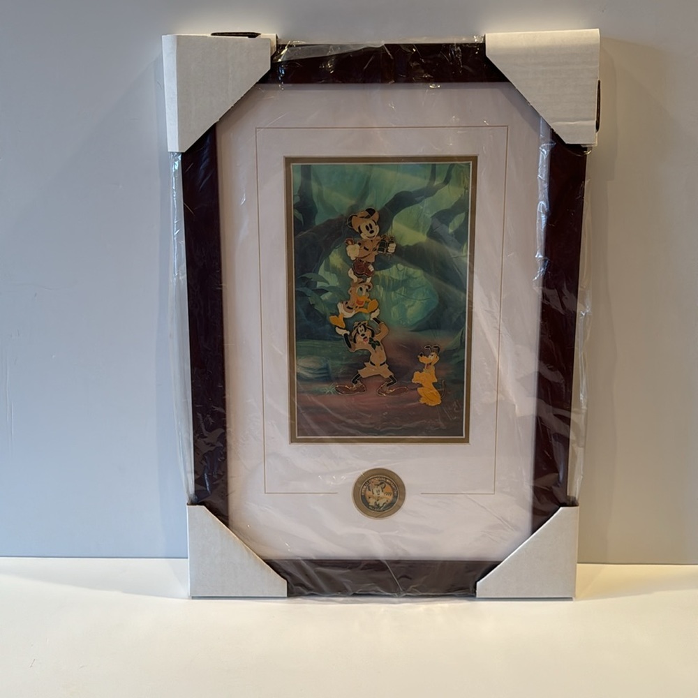 Disneyana Convention Mickey and the Gang framed pin set